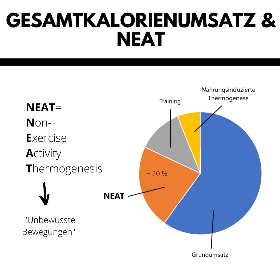 Eine Grafik mit dem Gesamtkalorienumsatz & NEAT ist zu sehen
