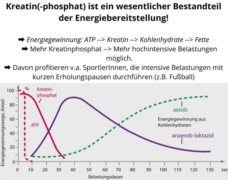 Auf einer Grafik ist zu sehen wie sich Kreatin Monohydrat auf Fussballer auswirkt